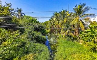 Green beautiful tropical river Freshwater Lagoon in Puerto Escondido Mexico. photo