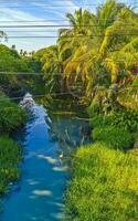 Green beautiful tropical river Freshwater Lagoon in Puerto Escondido Mexico. photo