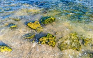 piedras rocas corales turquesa verde azul agua playa mexico. foto