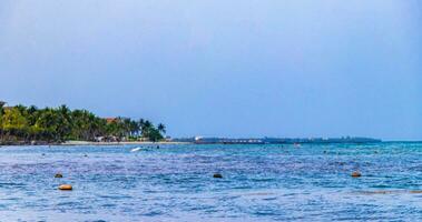 Tropical mexican beach clear turquoise water Playa del Carmen Mexico. photo