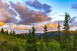 Beautiful colorful pink purple sunset behind the mountains forests Norway. photo