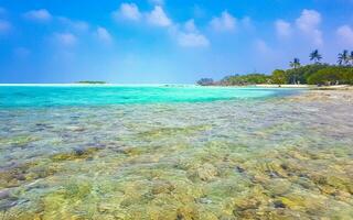 islas de banco de arena turquesas tropicales naturales madivaru finolhu rasdhoo atoll maldivas. foto