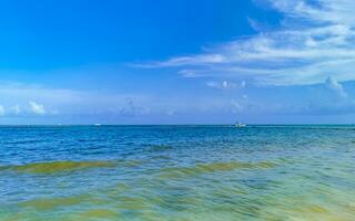 playa tropical mexicana agua turquesa clara playa del carmen mexico. foto