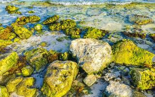 Stones rocks corals turquoise green blue water on beach Mexico. photo