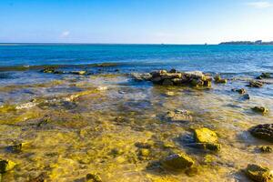 Stones rocks corals turquoise green blue water on beach Mexico. photo