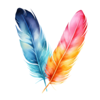 Colorful hand-painted feather isolated on white backgroud png