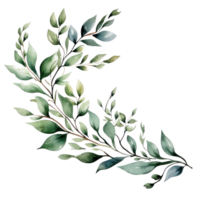 verde aguarela botânico folhas e galhos quadro, Armação png