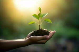 AI Generated hand children holding young plant with sunlight on green nature background. concept eco earth day photo