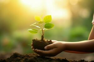 AI Generated hand children holding young plant with sunlight on green nature background. concept eco earth day photo