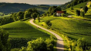 vineyards on the hills near the village of chianti, tuscany , photo