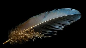 beautiful black feather isolated on black background Generative AI, AI Generated photo