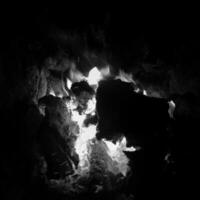 Beautiful flame brown wood dark black coal photo
