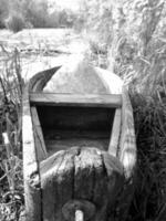 Old wooden broken boat for swimming on banks water in natural reeds photo