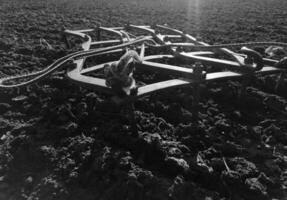 Plowed field for potato in brown soil on open countryside nature photo