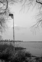 Photo on theme of large Ukrainian flag made from birch trunk