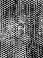 Abstract hexagon structure is honeycomb from bee hive photo