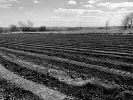 Plowed field for potato in brown soil on open countryside nature photo