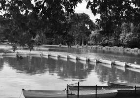 Photo on theme old wooden boat on green water of pond