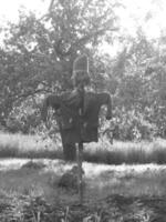 Scary scarecrow in garden discourages hungry birds photo