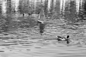 Photo on theme of lonely toy boat