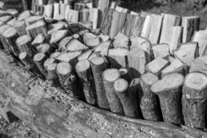 Photography on theme big wall of stacked oak tree photo