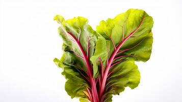 Photo of beautiful Swiss Chard flower isolated on white background. Generative AI