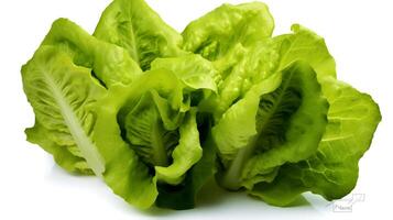 Photo of Fresh Lettuce isolated on white background. generative ai