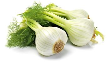 Photo of Fennel isolated on white background. generative ai