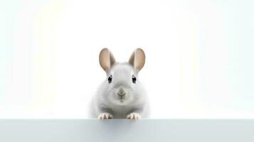 Photo of a cute little pet on white background. Generative AI