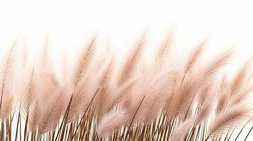 Fountain Grass flower patterned background. Flower texture background. Generative AI photo