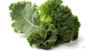 Photo of Kale isolated on white background. generative ai