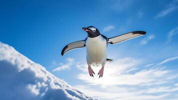 Photo of a Penguin under Blue Sky. Generative AI