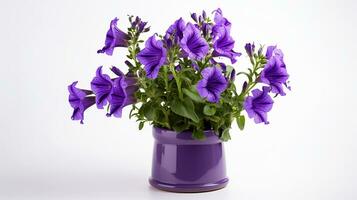 Photo of Canterbury Bells flower in pot isolated on white background. Generative AI