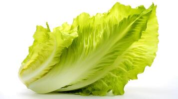 Photo of Fresh Lettuce isolated on white background.