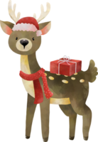 Watercolor Christmas Deer Wearing Santa Hat and Holding Red Gift box png