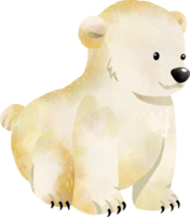 Watercolor Polar Bear png