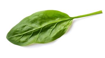 Photo of Spinach isolated on white background. generative ai