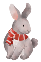 acuarela Navidad Conejo vistiendo rojo bufanda png