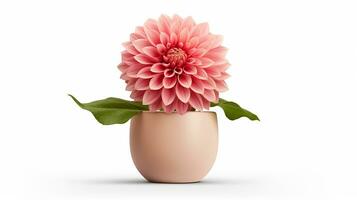 Photo of Dahlia flower in pot isolated on white background. Generative AI