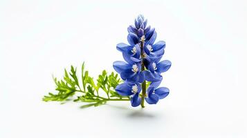 Photo of beautiful Bluebonnet flower isolated on white background. Generative AI