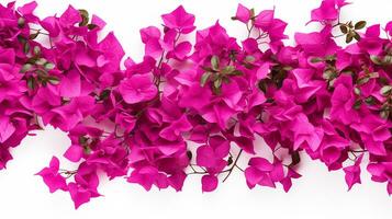 Bougainvillea flower pattern background. Flower background texture. Generative AI photo