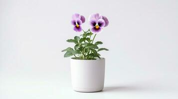 Photo of Pansy flower in pot isolated on white background. Generative AI