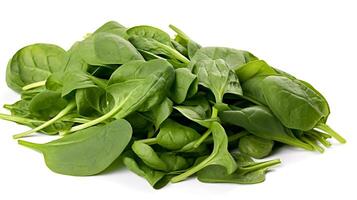 Photo of Spinach isolated on white background. generative ai