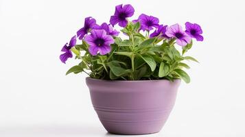 Photo of Petunia flower in pot isolated on white background. Generative AI