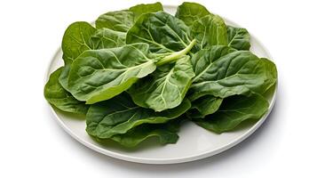 Photo of Collard greens on plate isolated on white background.
