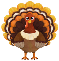 Watercolor Thanksgiving Turkey png