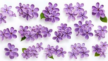 Lilac flower patterned background. Flower texture background. Generative AI photo