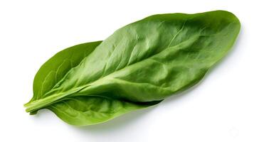 Photo of Spinach isolated on white background. generative ai