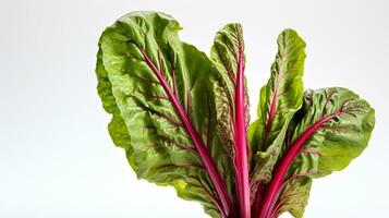 Photo of beautiful Swiss Chard flower isolated on white background. Generative AI