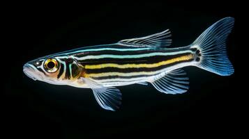 Wildlife photography of Photo of Zebrafish. Generative AI